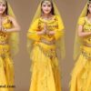 Bộ Trang Phục Biểu Diễn Múa Bụng Ấn Độ (2)