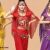 Trang Phục Ngắn Tay Khiêu Vũ Ấn Độ (2)